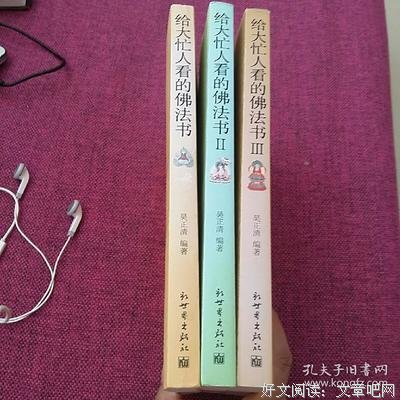 给大忙人看的佛法书经典读后感有感