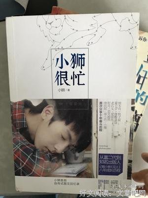 《小狮很忙.十年荣光》读后感精选