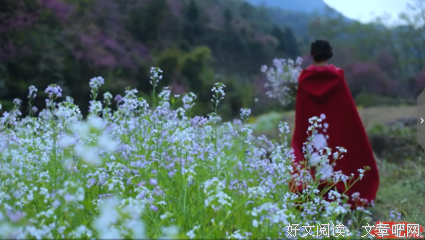 朗诵：掬水月在手，弄花香满衣