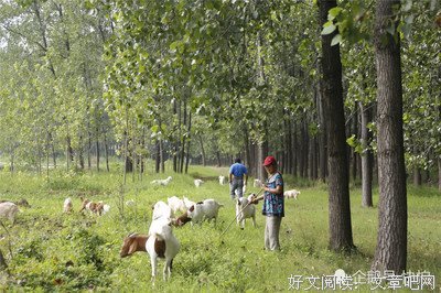 《我们结婚了世界篇 第二季》影评精选
