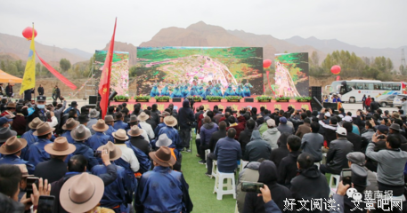 《五彩神箭》观后感精选