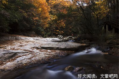 有关落花流水的句子