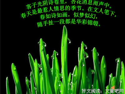 古詩的优美句子