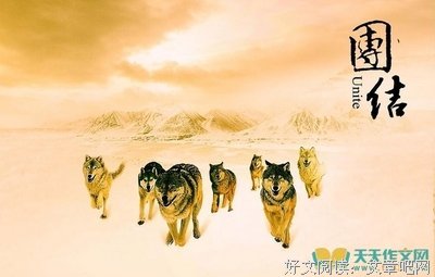 夫外心经典的句子