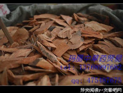桂圆句子大全