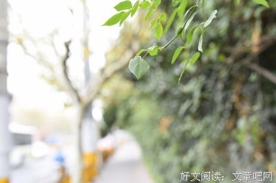 艺术的疗效读后感1000字