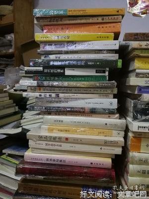 《华盛顿的起床号（1860-1865）》读后感摘抄