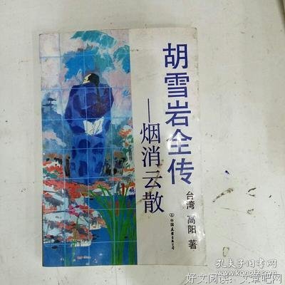 《胡雪岩全传》读后感100字