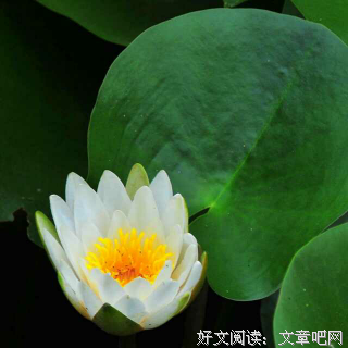 《先知》读后感摘抄