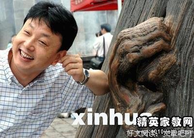 浮华如盐的读后感大全