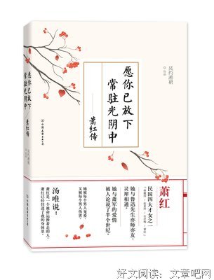 愿你已放下，常驻光阴中读后感精选