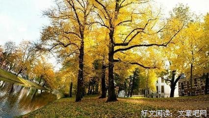 《最好的我们》的句子