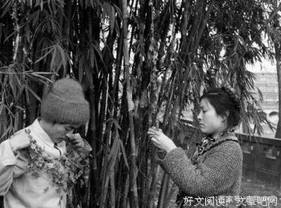 顾城名句欣赏