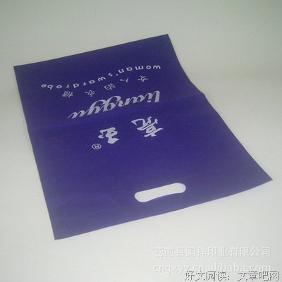 《无底袋》的影评大全