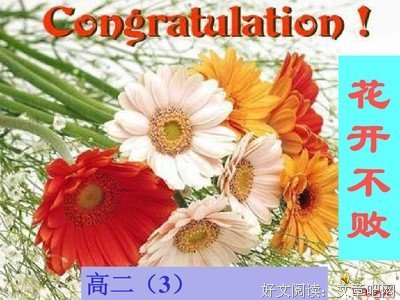 花开不败优美的句子
