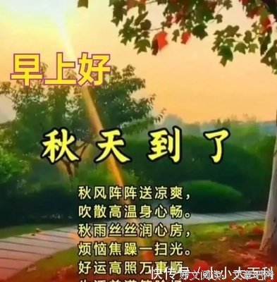 他成走么美的句子