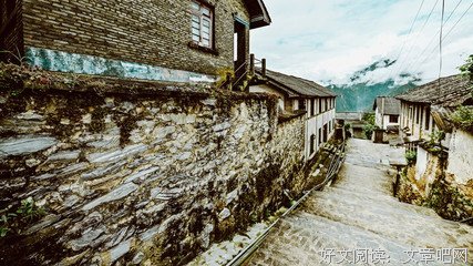 知子经典的句子