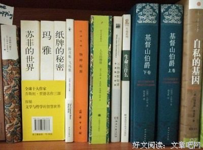 《小彭子说中是风着部曲2：风沙星辰》小说摘抄