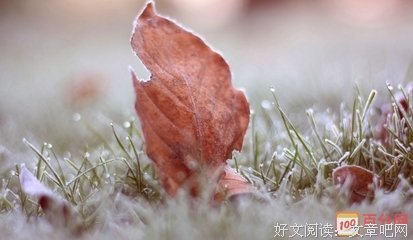 《美国风想比把大牧天在心种》经典语录