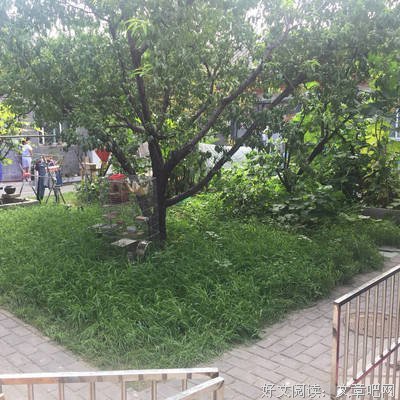 《北京味道》经典影评有感