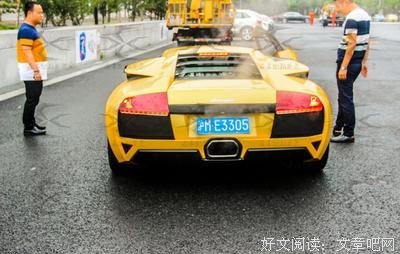 《我的老婆是只猫》好看吗？经典观后感锦集