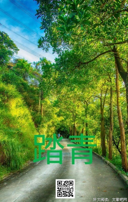 《春游》经典影评有感