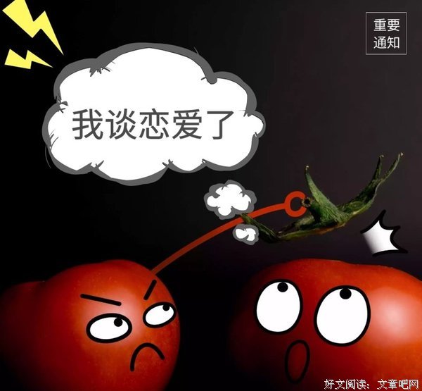《恋了爱了》经典影评1000字