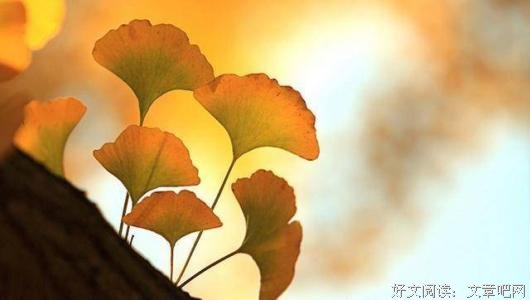 “我和你妈掉河里了，你先救谁”的几个古代版本故事 