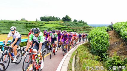 《创新的国度》读后感精选
