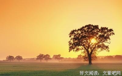 《我的人生哲学》的读后感大全