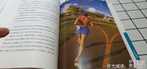 《孤独者的秋天》读后感摘抄
