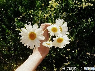 不痛不痒的句子