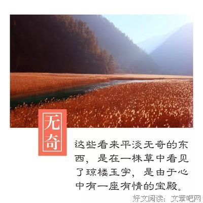 有关繁花似锦的美句摘抄