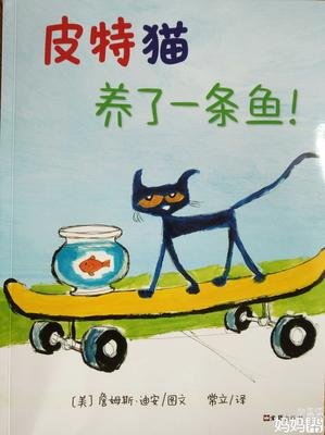 《情商4》读后感1000字