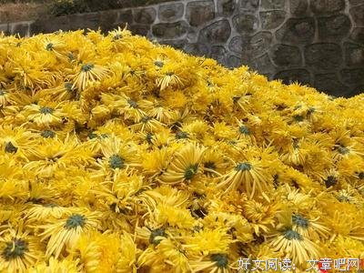 下班後賺更多读后感锦集