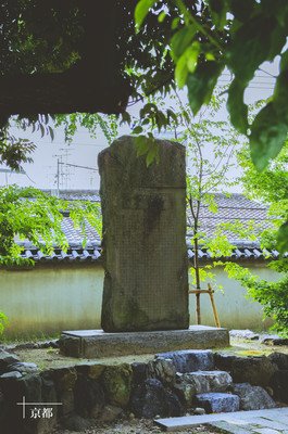 京都流年读后感锦集
