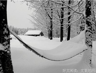《丰子恺插图朱自清散文全集》的读后感大全