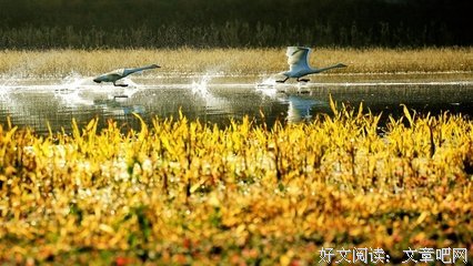 有关如履薄冰的美文美句摘抄