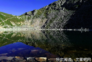 怦着一心动经典的句子