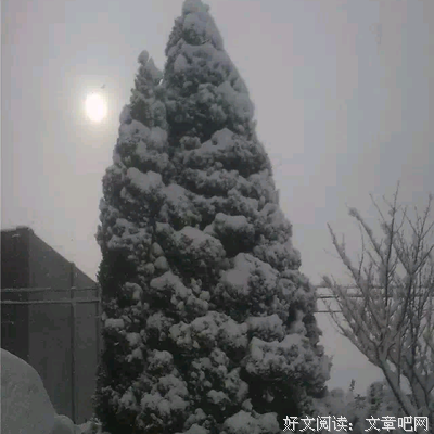 《殇雪》的句子