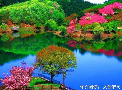 幾米经典名句