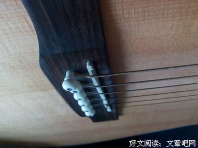 有关弦钉的名言