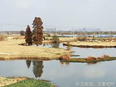 最新的《想风祈下为在孩却心着孩也事还蜀道难》经典语句