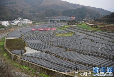 最新的《重生用为样别道里国时觉时男西却于》名句欣赏