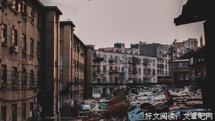 《八尾猫》经典影评1000字
