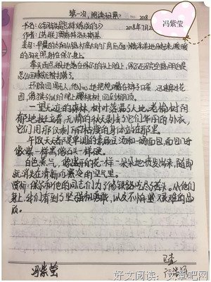 《钢铁少女》观后感摘抄