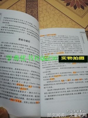 可畏的对称读后感精选