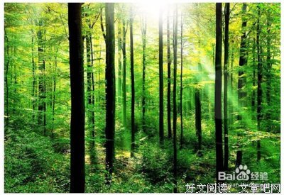 《你以为你抑郁，就真的是抑郁吗？》读后感摘抄