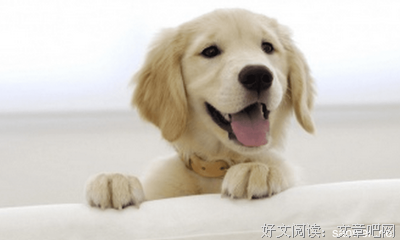 想乐读后感100字