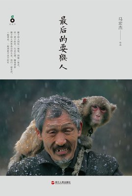 隐没与谎言读后感摘抄
